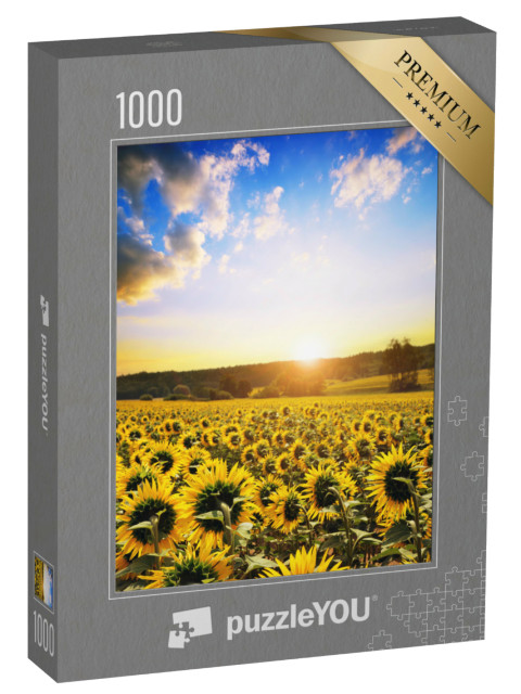 puzzle 1000 dílků „Jarní krajina s rozkvetlým slunečnicovým polem při západu slunce...“