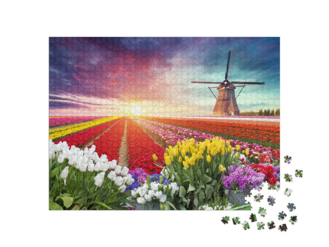puzzle 1000 dílků „Krajina s tulipány a větrným mlýnem, Holandsko“