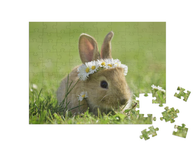 puzzle 100 dílků „Roztomilý králíček s věncem ze sedmikrásek“