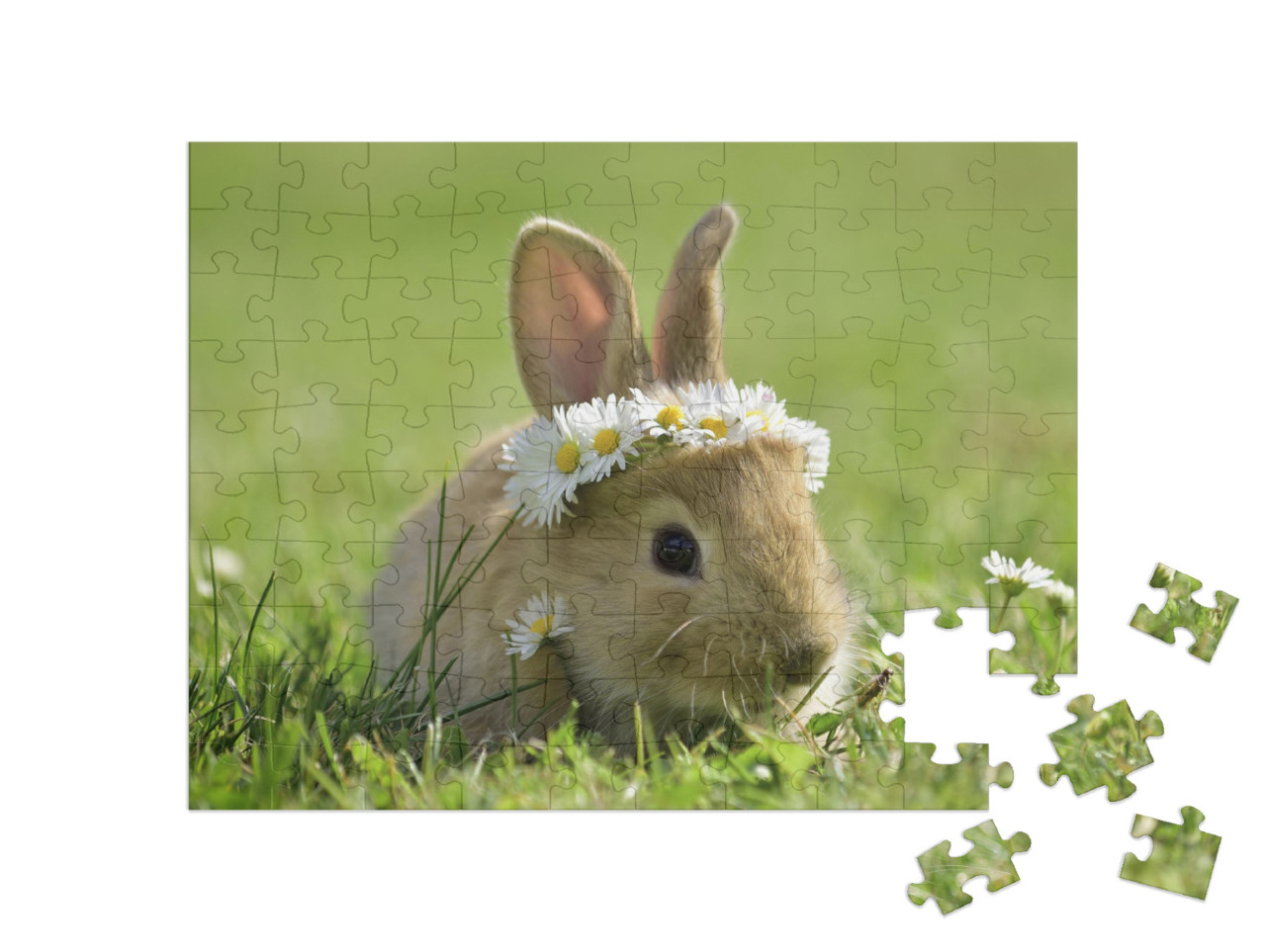puzzle 100 dílků „Roztomilý králíček s věncem ze sedmikrásek“