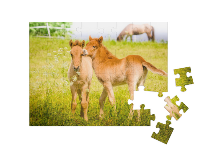 puzzle 48 dílků „Hříbata hrající si na louce“