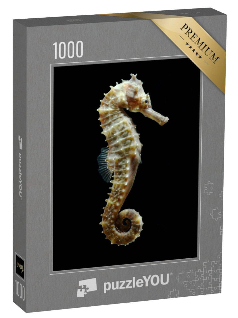 puzzle 1000 dílků „Detailní záběr mořského koníka“