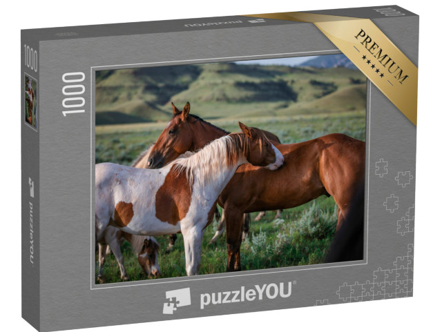 puzzle 1000 dílků „Paint pony a rančerský kůň, Montana, USA“