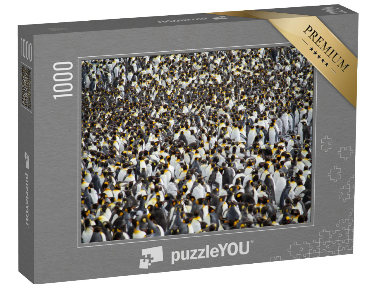 puzzle 1000 dílků „Obrovská kolonie tučňáků královských“