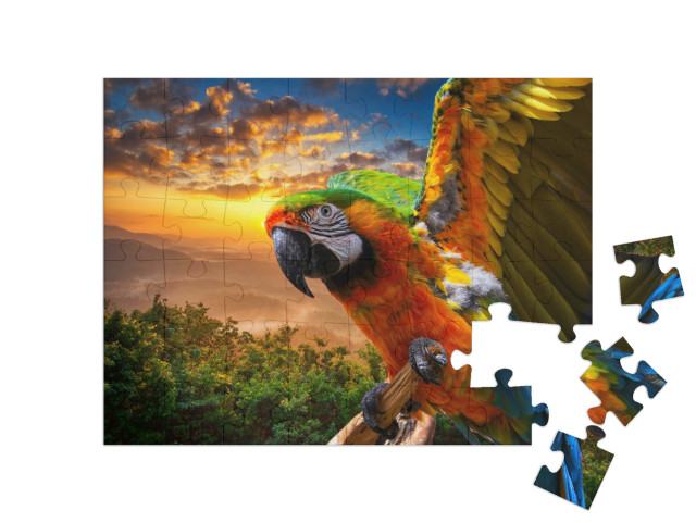 puzzle 48 dílků „Nádherné barvy přírody: makak při západu slunce“