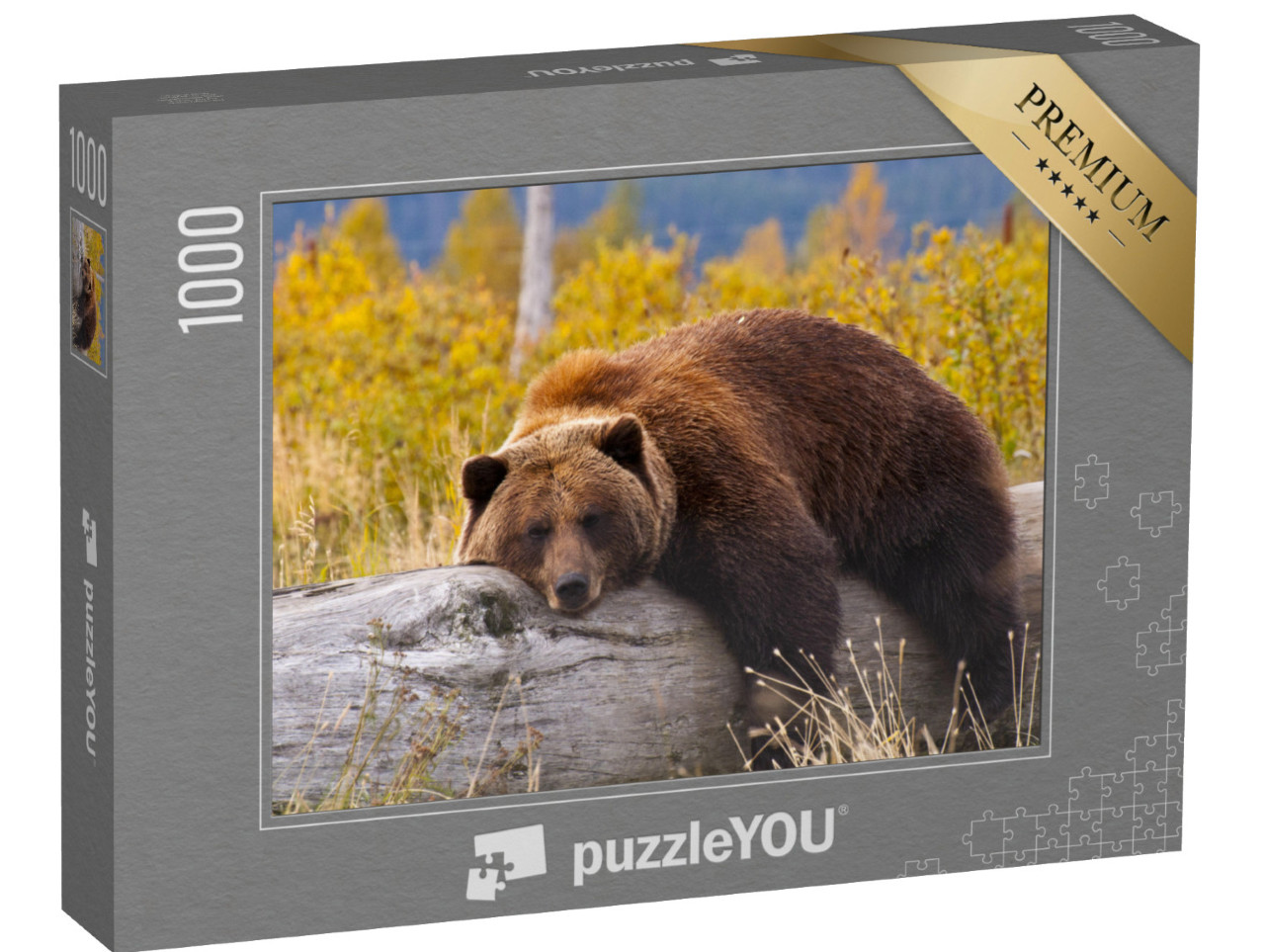 puzzle 1000 dílků „Medvěd grizzly, Aljaška“