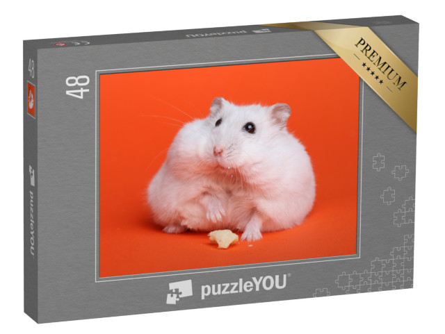puzzle 48 dílků „Chlupatý bílý křeček“