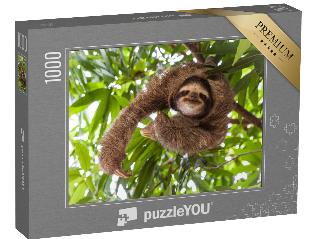 puzzle 1000 dílků „Lenochod v přirozeném prostředí“