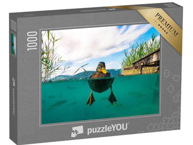 puzzle 1000 dílků „Podvodní fotografie kachny, Rakousko“