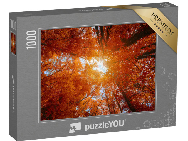 puzzle 1000 dílků „Barevné koruny stromů v podzimním lese“