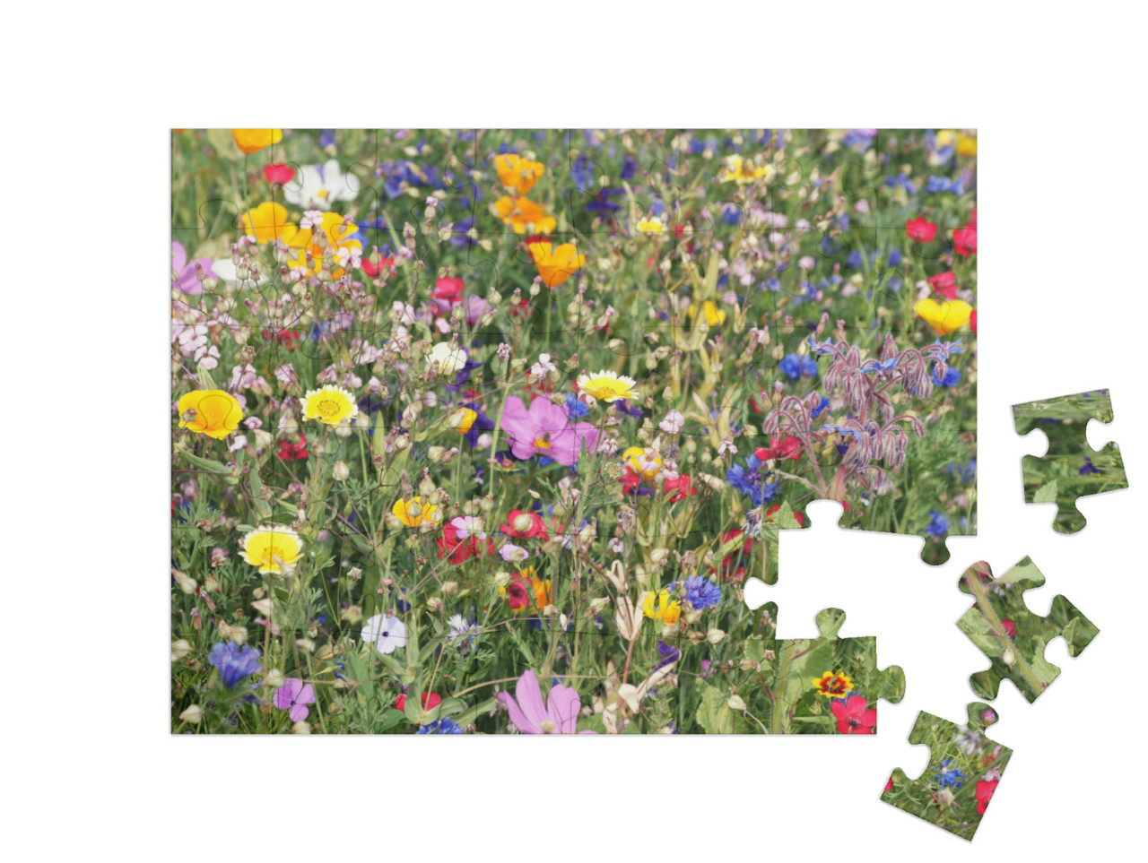 puzzle 48 dílků „Barevná louka s divokými květy“