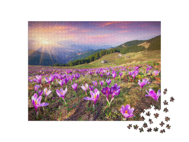 puzzle 1000 dílků „Západ slunce nad kvetoucími krokusy v horách“