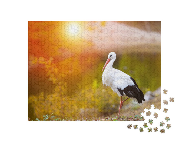 puzzle 1000 dílků „Čáp bílý ve večerním světle“
