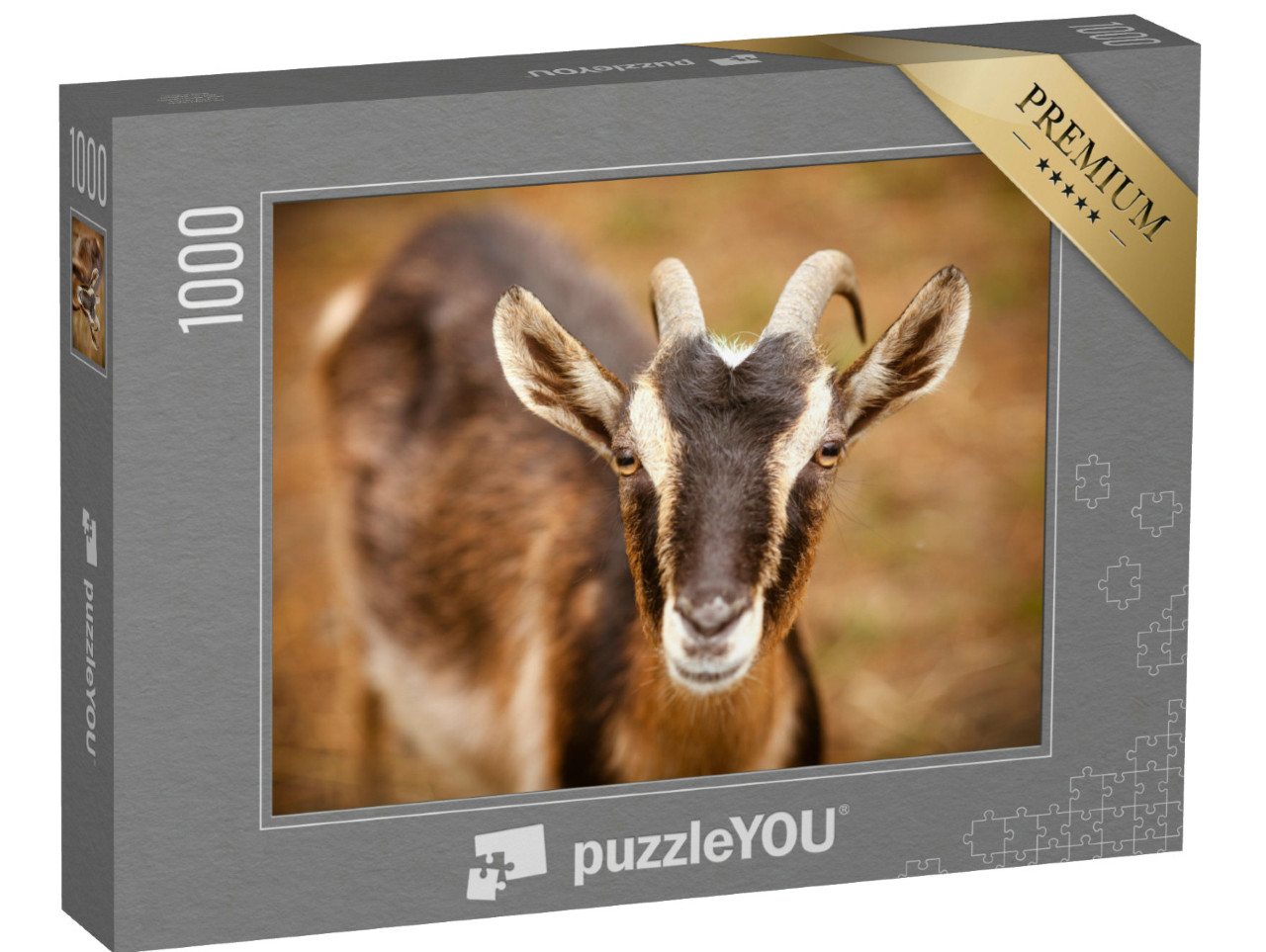 puzzle 1000 dílků „Portrét kozy na farmě“
