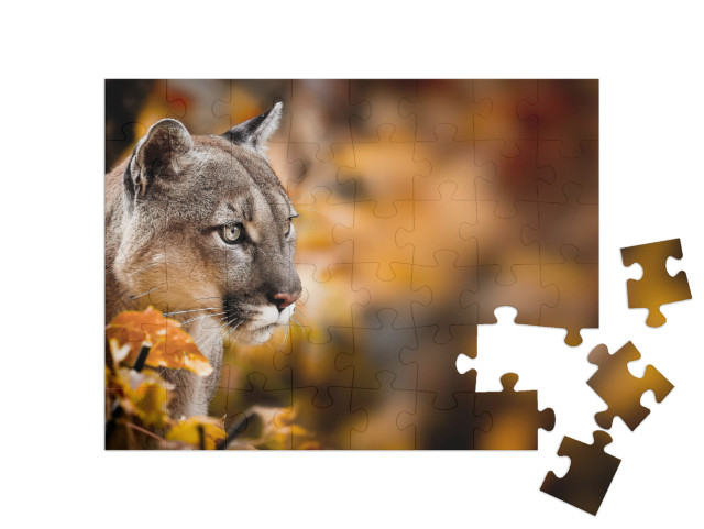 puzzle 48 dílků „Puma, známá také jako puma.“