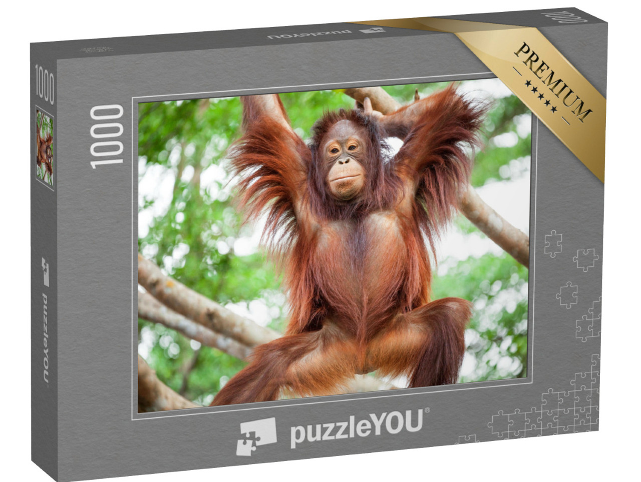 puzzle 1000 dílků „Orangutan“