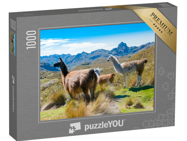 puzzle 1000 dílků „Lamy v parku Cajas Cuenca, Ekvádor“