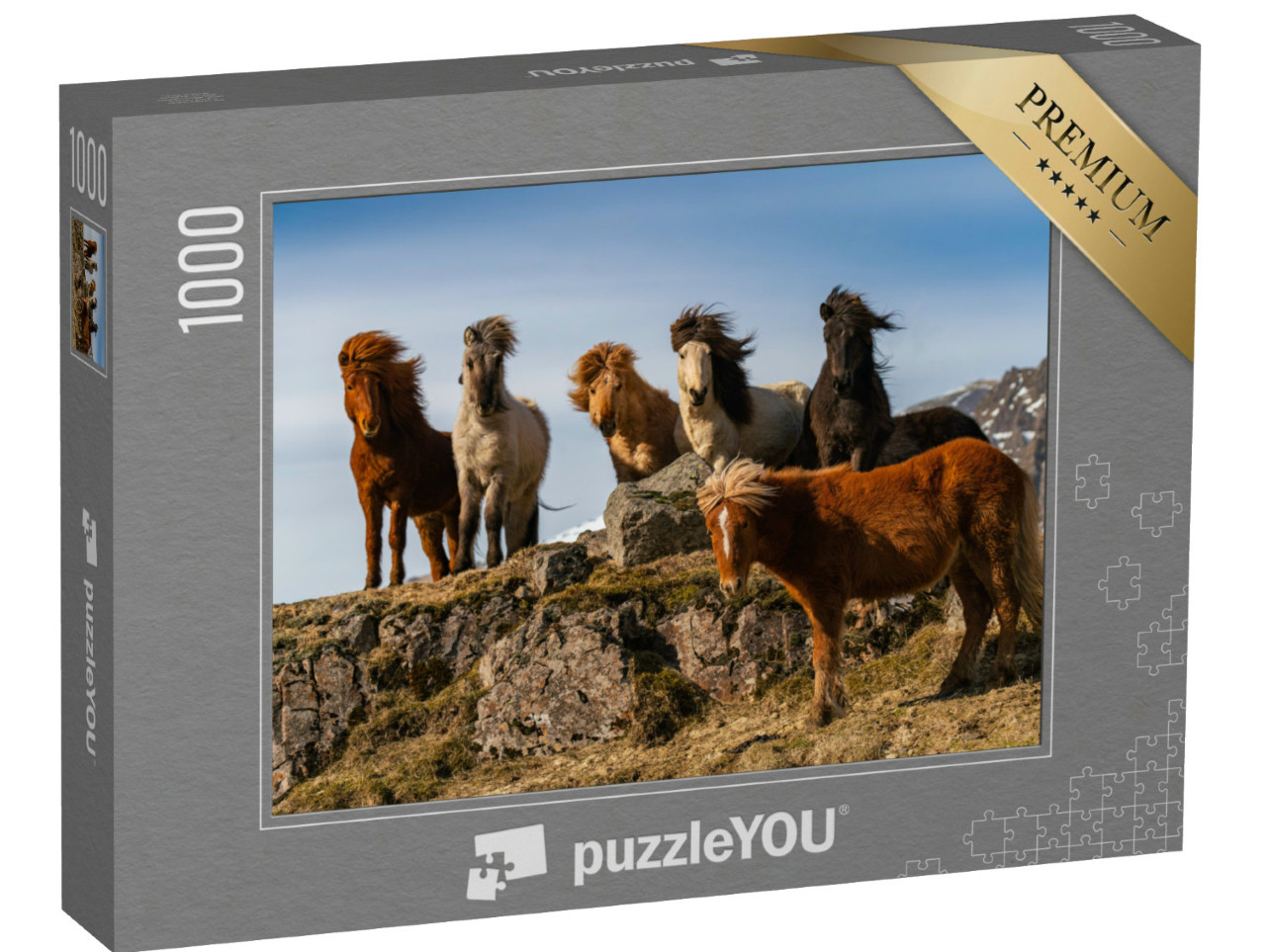 puzzle 1000 dílků „Stádo islandských koní v bouřlivém větru“