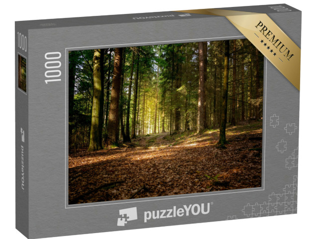 puzzle 1000 dílků „Podzimní slunce v Bavorském lese, Německo“