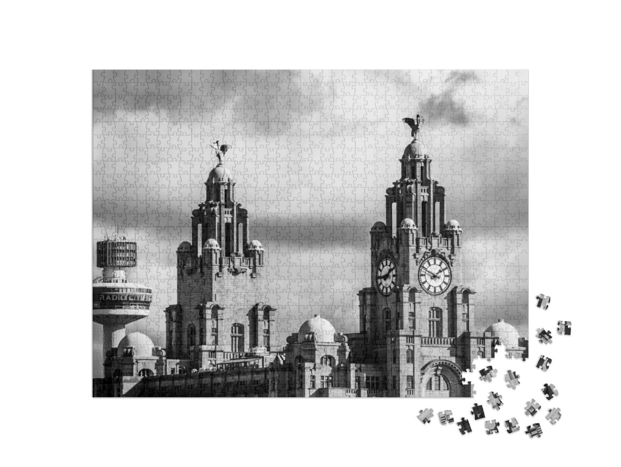 puzzle 1000 dílků „Pohled na budovu Royal Liver v Liverpoolu“