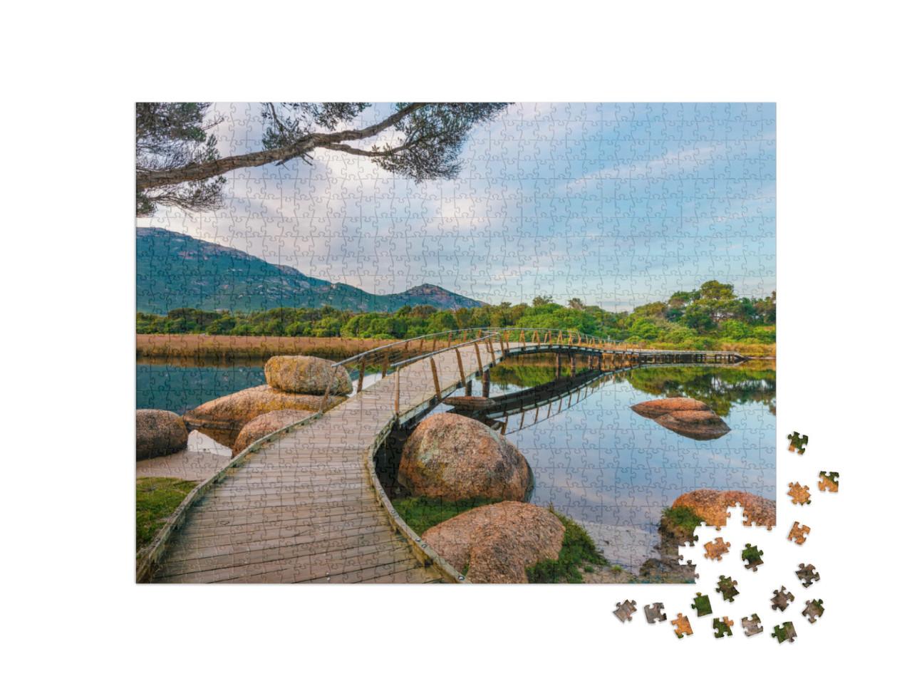 puzzle 1000 dílků „Most pro pěší na řece Tidal“
