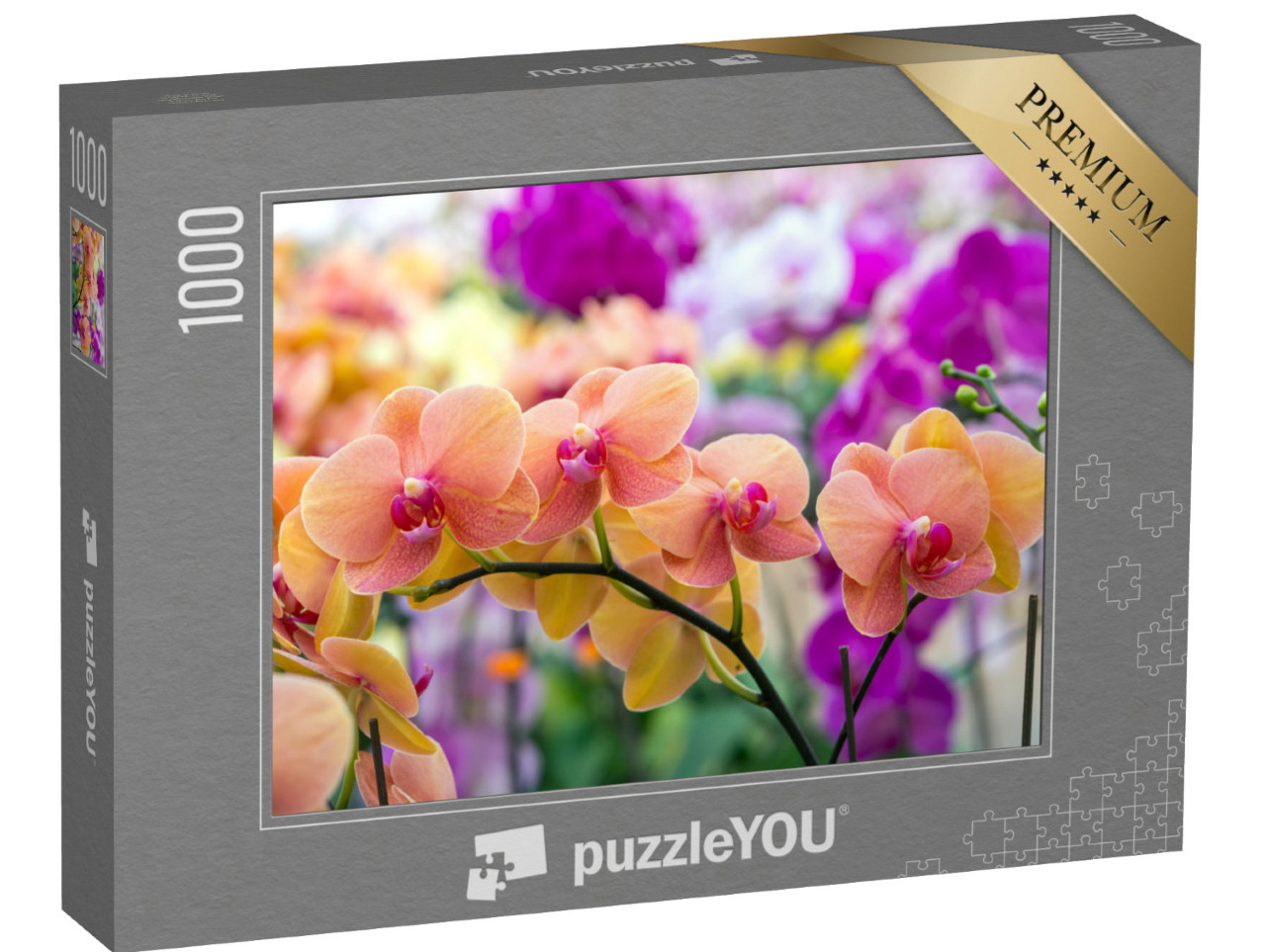 puzzle 1000 dílků „Krása přírody: Orchideje“