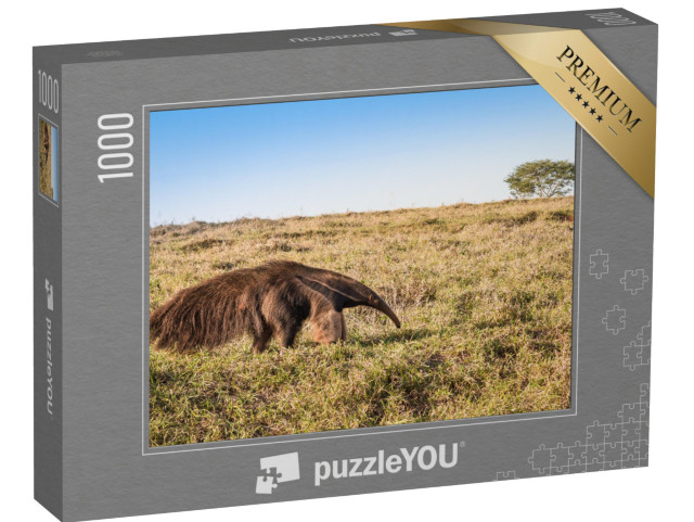 puzzle 1000 dílků „Divoký mravenečník obrovský na pastvině“