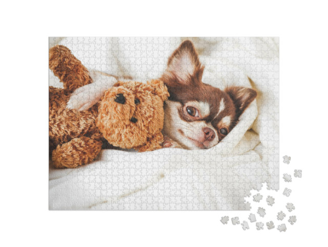 puzzle 1000 dílků „Štěně čivavy spící s medvídkem“
