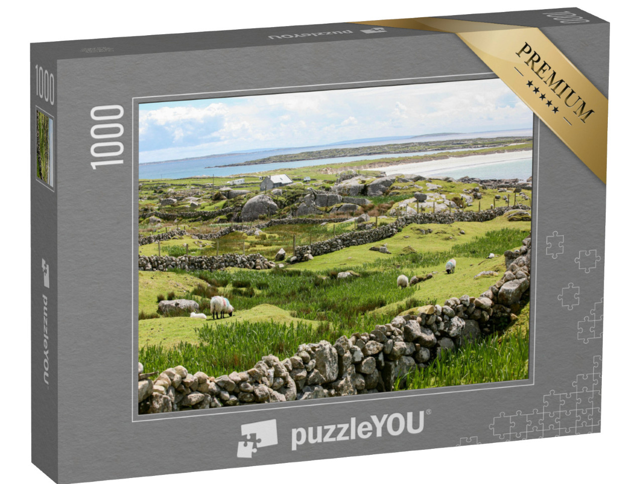 puzzle 1000 dílků „Irské kamenné zdi na pobřeží“