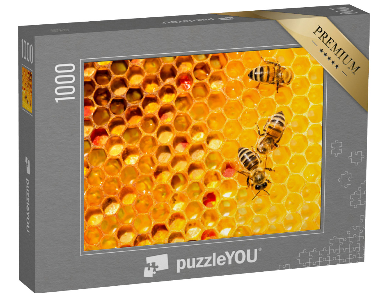 puzzle 1000 dílků „Detailní záběr na včely na plástvi“