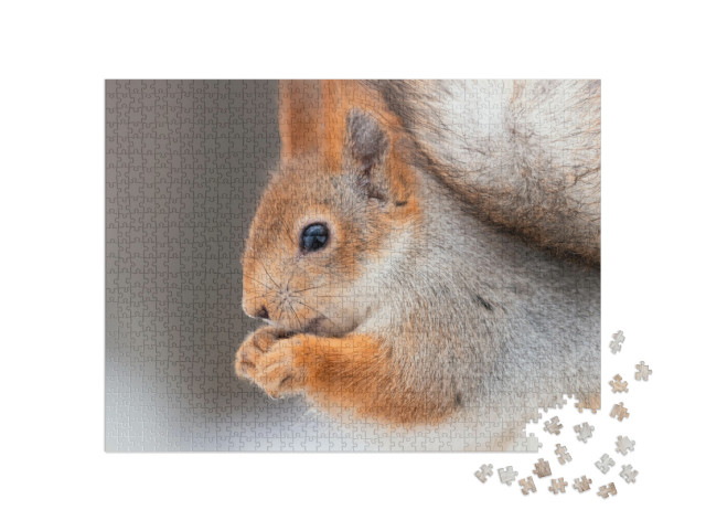 puzzle 1000 dílků „Veverka s ořechy“