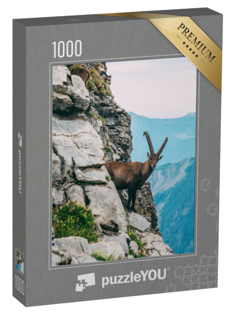 puzzle 1000 dílků „Kozorožec alpský v horské krajině na strmé skále“