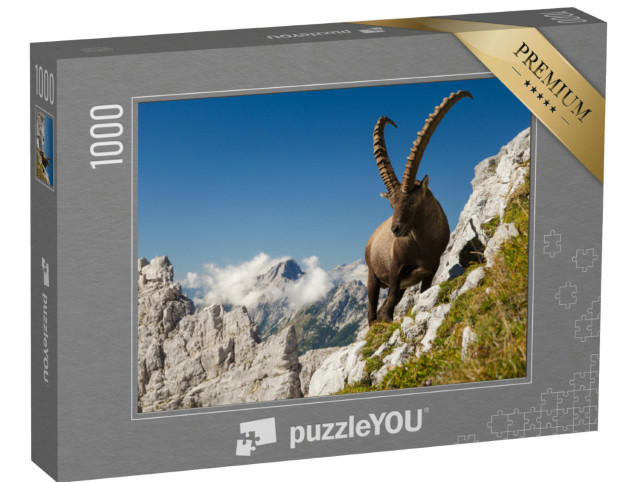 puzzle 1000 dílků „Kozorožec, král hor“