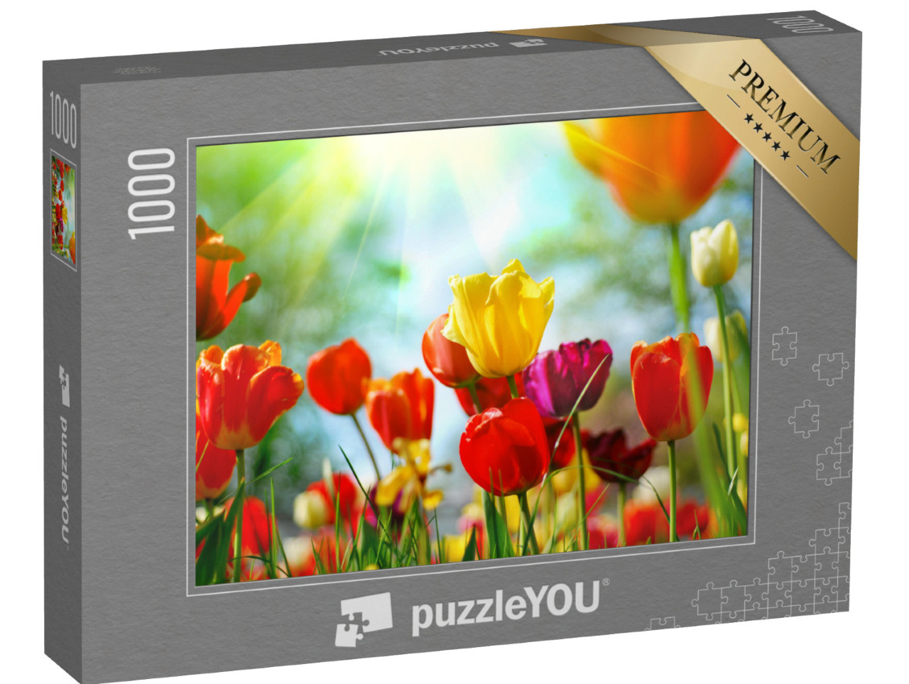 puzzle 1000 dílků „Tulipánová louka v jarním slunci“