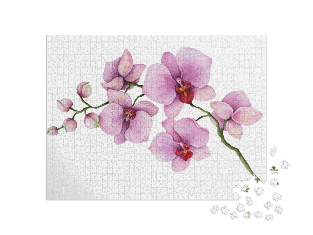 puzzle 1000 dílků „Větev orchideje na bílém pozadí“