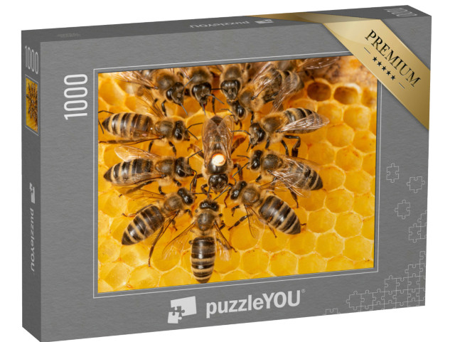 puzzle 1000 dílků „Včelí královna obklopená dělnicemi“