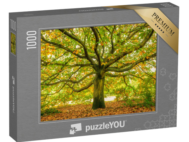 puzzle 1000 dílků „Starobylý strom na podzim“