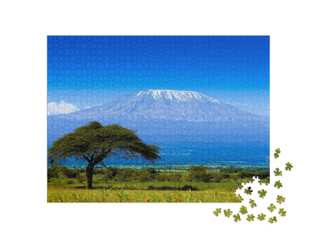 puzzle 1000 dílků „Kilimandžáro na africké savaně“