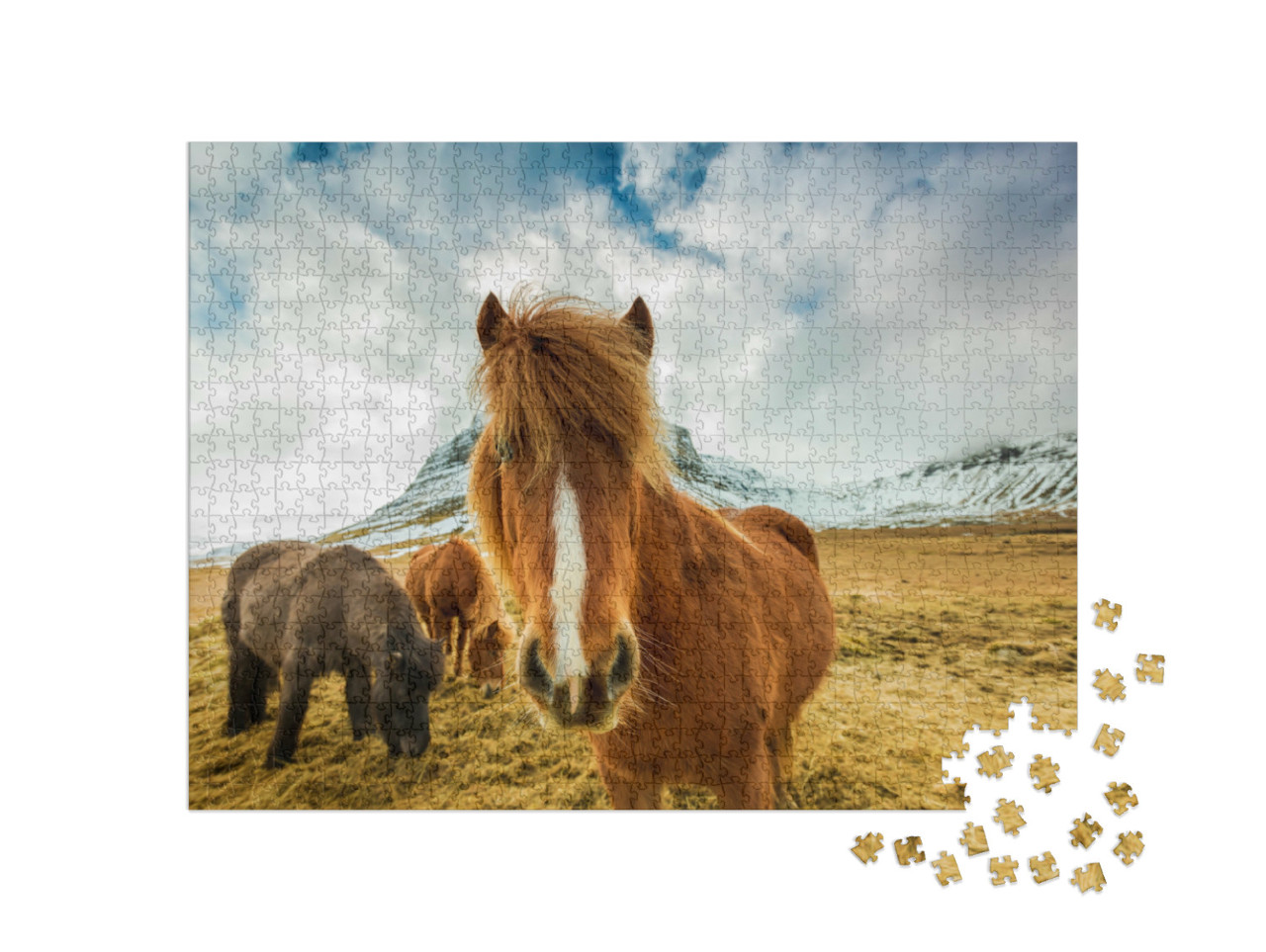 puzzle 1000 dílků „Koně v islandských horách“