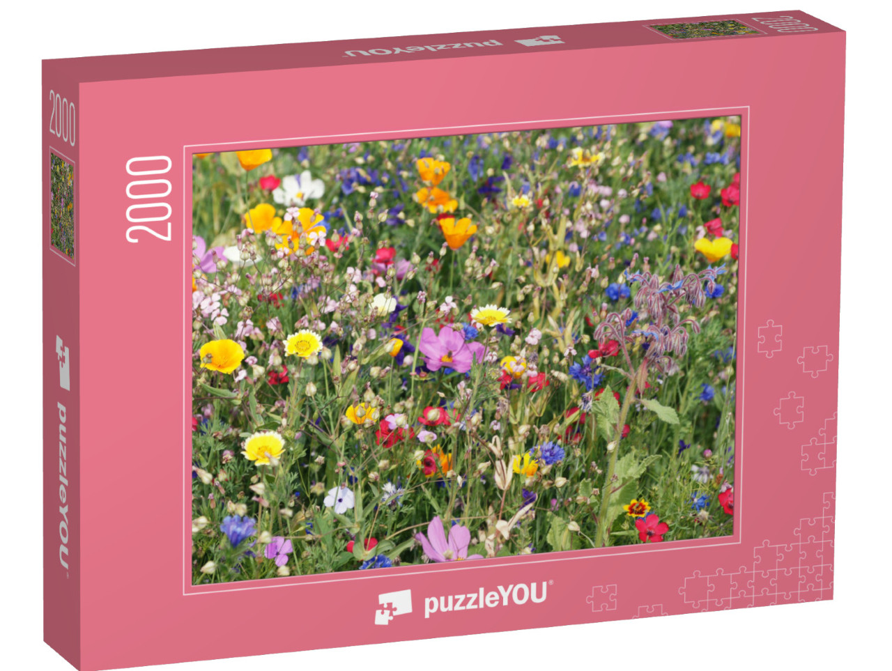 puzzle 2000 dílků „Barevná louka s divokými květy“
