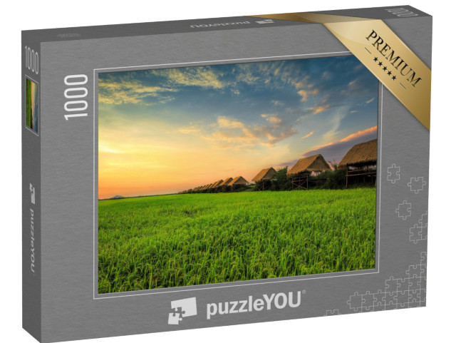 puzzle 1000 dílků „Západ slunce na rýžovém poli v Siem Reapu“