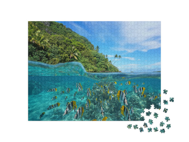 puzzle 1000 dílků „Tropické ryby nad a pod vodou, Huahine, Tichý oceán“
