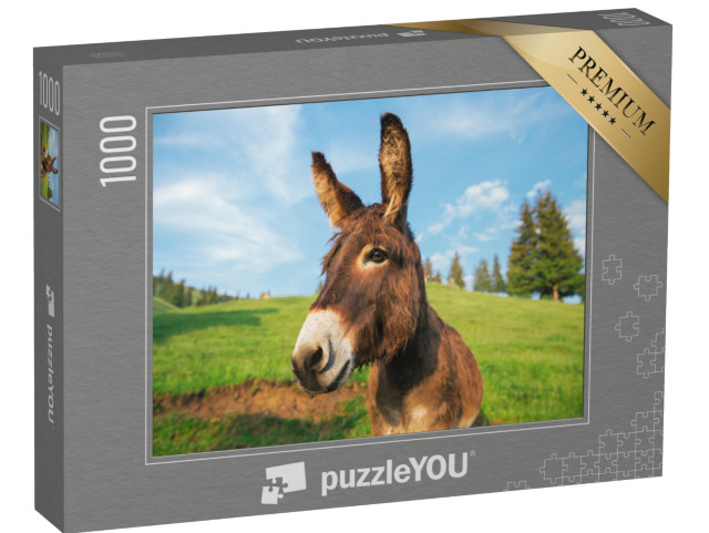 puzzle 1000 dílků „Obrázek osla při západu slunce v Transylvánii“