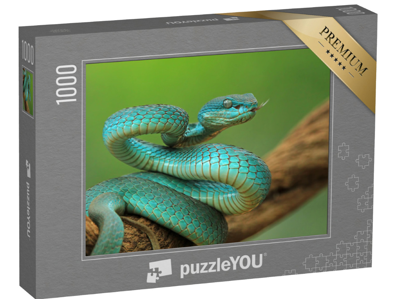 puzzle 1000 dílků „Zmije na větvi, modrý ostrovní had připravený k útoku“