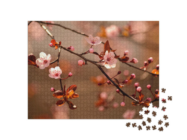 puzzle 1000 dílků „Japonský třešňový květ, známý také jako sakura“