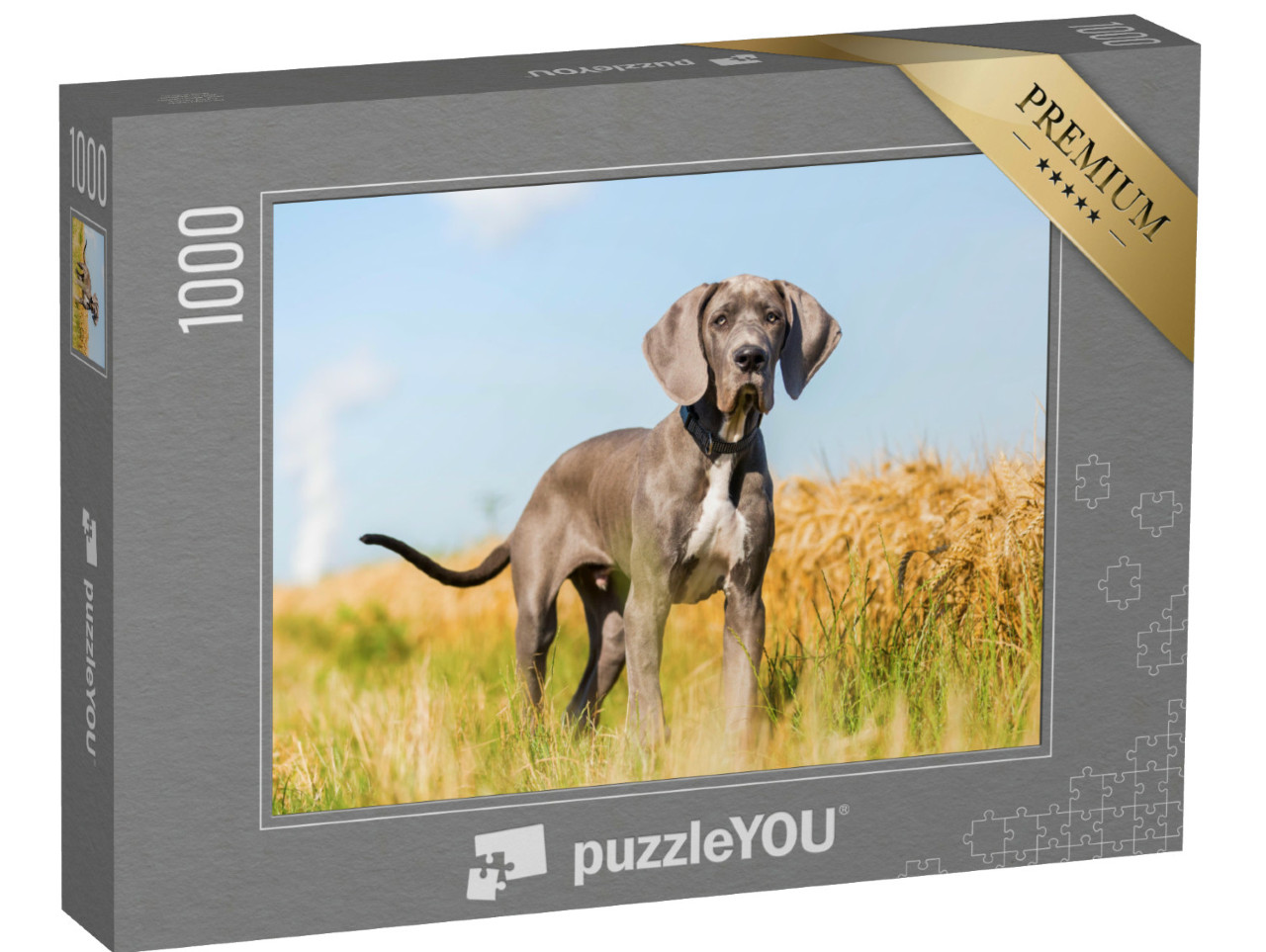 puzzle 1000 dílků „Portrét štěněte německé dogy stojícího na venkovské cestě“