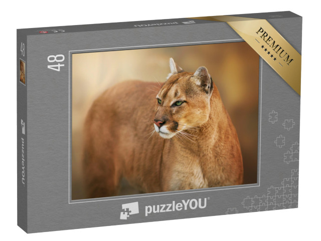puzzle 48 dílků „Puma se zelenýma očima“