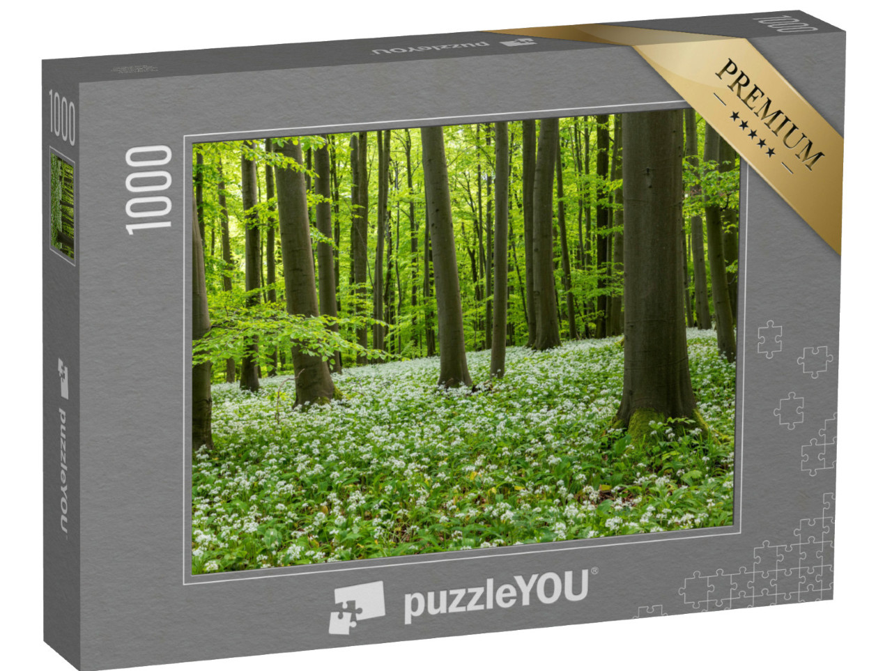 puzzle 1000 dílků „Krásný květ divokého česneku v Národním parku Hainich, Durynsko“