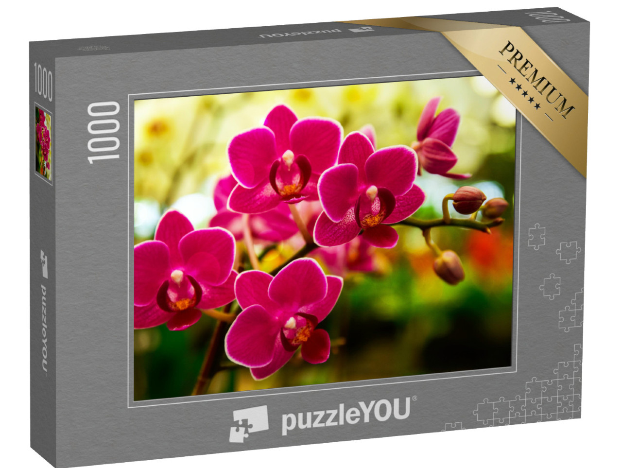 puzzle 1000 dílků „Růžové orchideje“