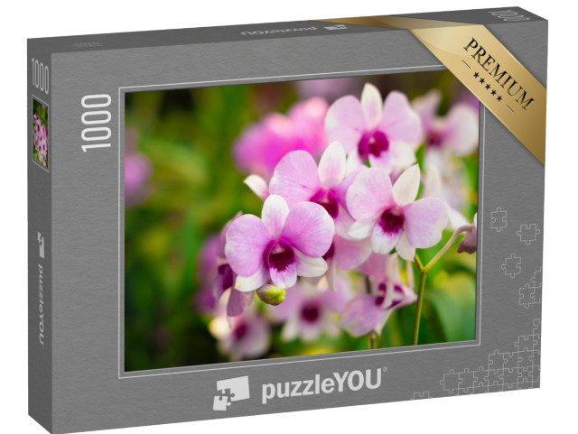 puzzle 1000 dílků „Větev s krásnými květy v orchidejové zahradě“